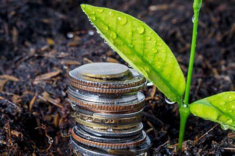 Croatia vodeća u neživotnim, Wiener u životnim osiguranjima